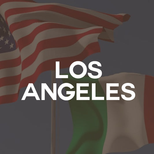 Los Angeles Consulate / Vital Records Kit